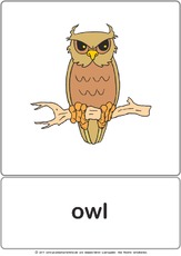 Bildkarte - owl.pdf